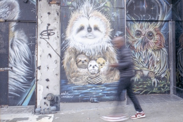 Sloth Babies A person is captured mid-stride with motion blur in front of a wall with several panels of art, the man is between a painting of a sloth holding three baby sloths and another of an own both very colorful. The orientation of the painting and the position of the person makes it appear as if the the creature are looking at the passer by.