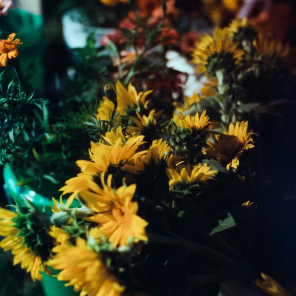 A bunch of sunflowers are in green plastic buckets with some other colorful flowers in the blurry background. The focus isn't on a particular flower but the image is very vibrant  and soft in the front, sharp in the middle, and falls off to softness in the background. It evokes more of a sense of a place and time than the actual flowers in the scene, a warm summer farmer's market scene. Shot with a Kiev 88 and ArsatC80f28 lens, on HarmonPhoenix200I, and developed with Rodinal,BelliniC41 by Shom Bandopadhaya. Licensed under Creative Commons Attribution-NonCommercial-ShareAlike (CC BY-NC-SA).