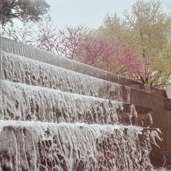A manmade waterfall is cresting over brown stone steps with some pink blossoms and a barely budding green tree stand watch over the falls. The water is coming predominantly from the middle to the left while the right side is bare stone.