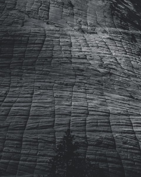 Zion National Park